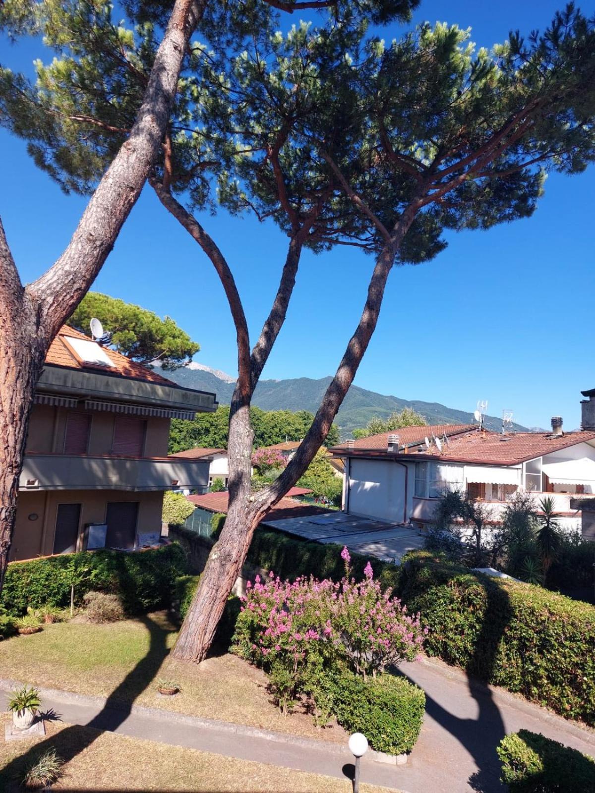 Appartamento Al Mare Di Liguria E Toscana 마리나디마사 외부 사진