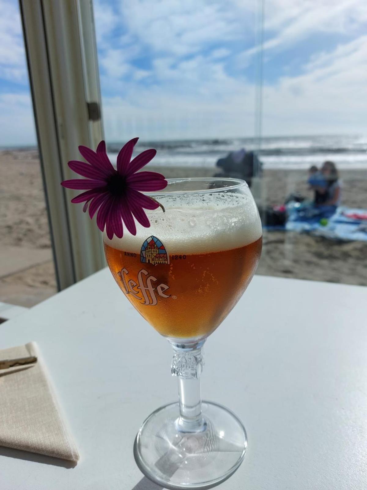 Appartamento Al Mare Di Liguria E Toscana 마리나디마사 외부 사진